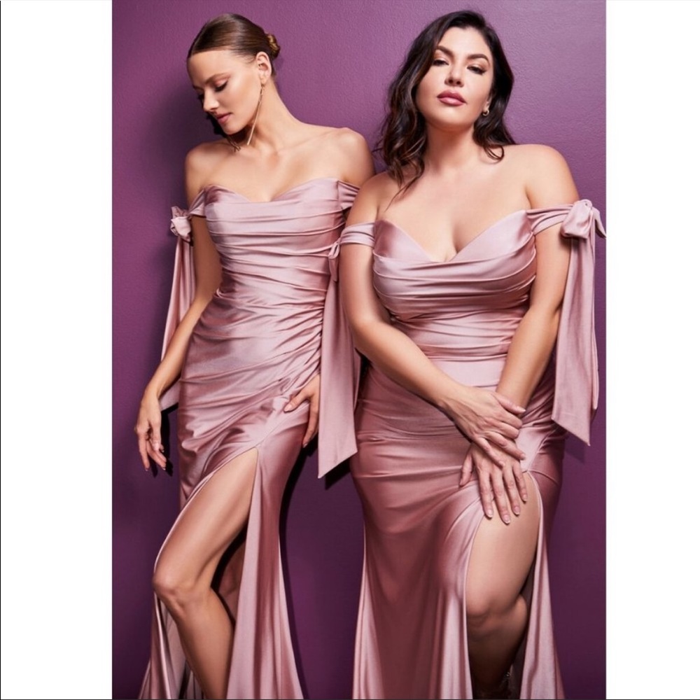 Mauve/blush pink gown cinderella Devine